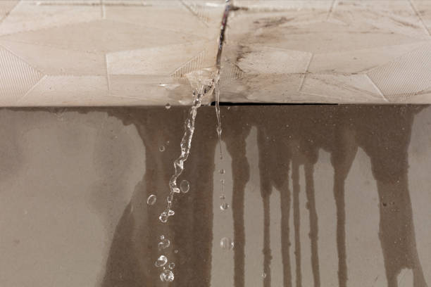 Professional Flood Damage Cleanup technician working in Norwood, PA